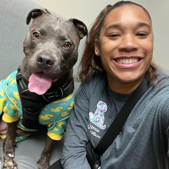 Meet your Posher, Michelle - Picture 1 of 1